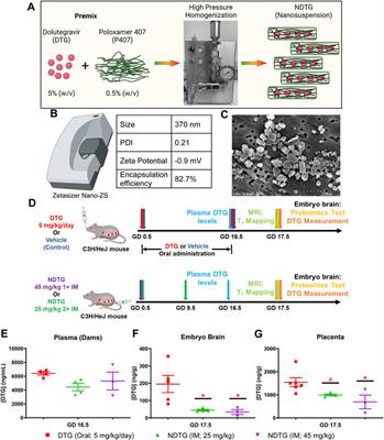 Long-acting dolutegravir formulations prevent neurodevelopmental impairments in a mouse model